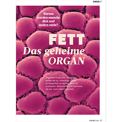 Article in the magazine Für Sie