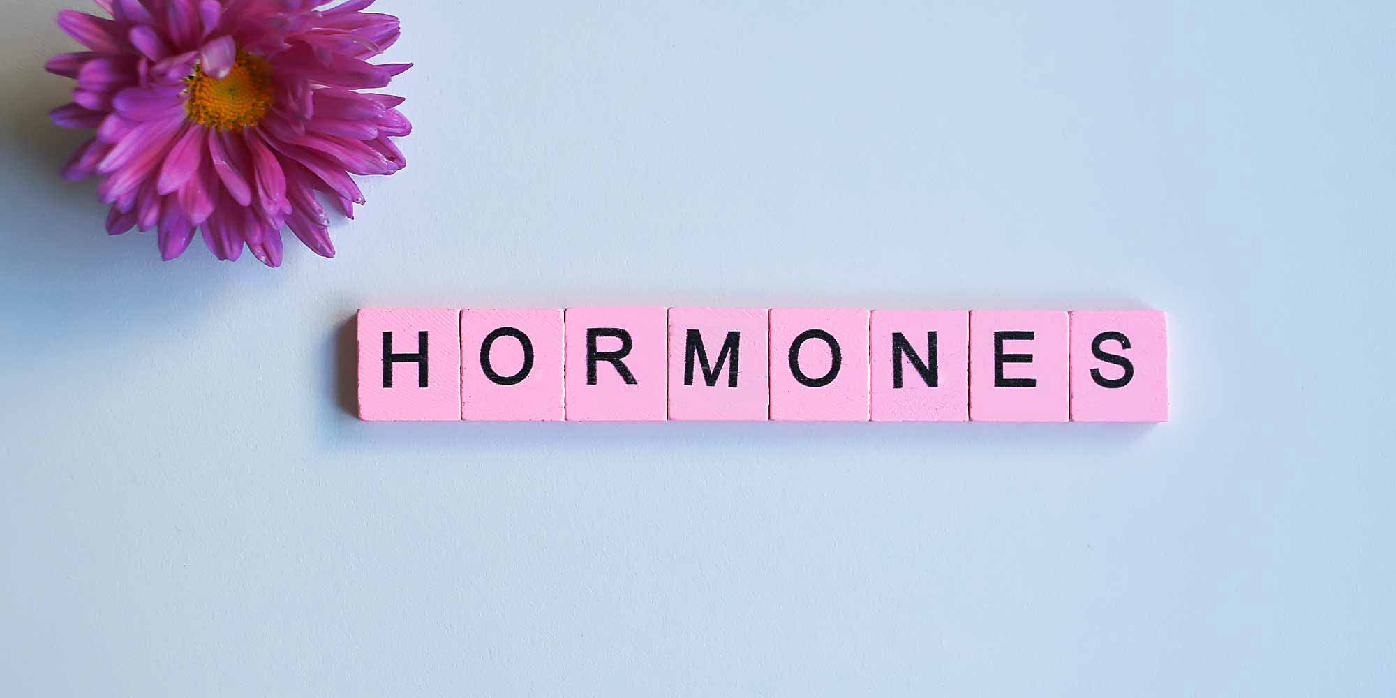 Lipödem Hormone